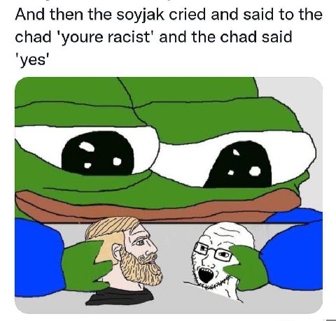 And then the soyjak cried and said to the chad ‘youre racist’ and the chad said 'уез'