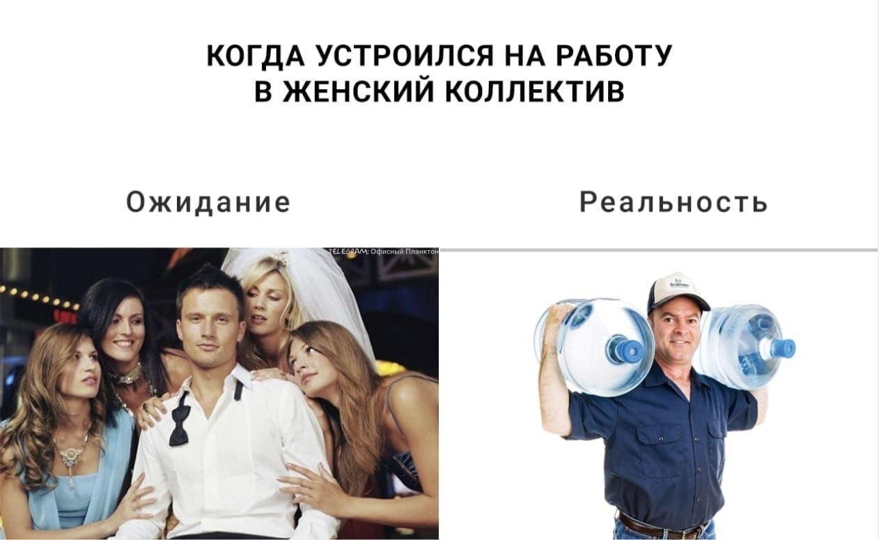 КОГДА УСТРОИЛСЯ НА РАБОТУ В ЖЕНСКИЙ КОЛЛЕКТИВ Ожидание Реальность