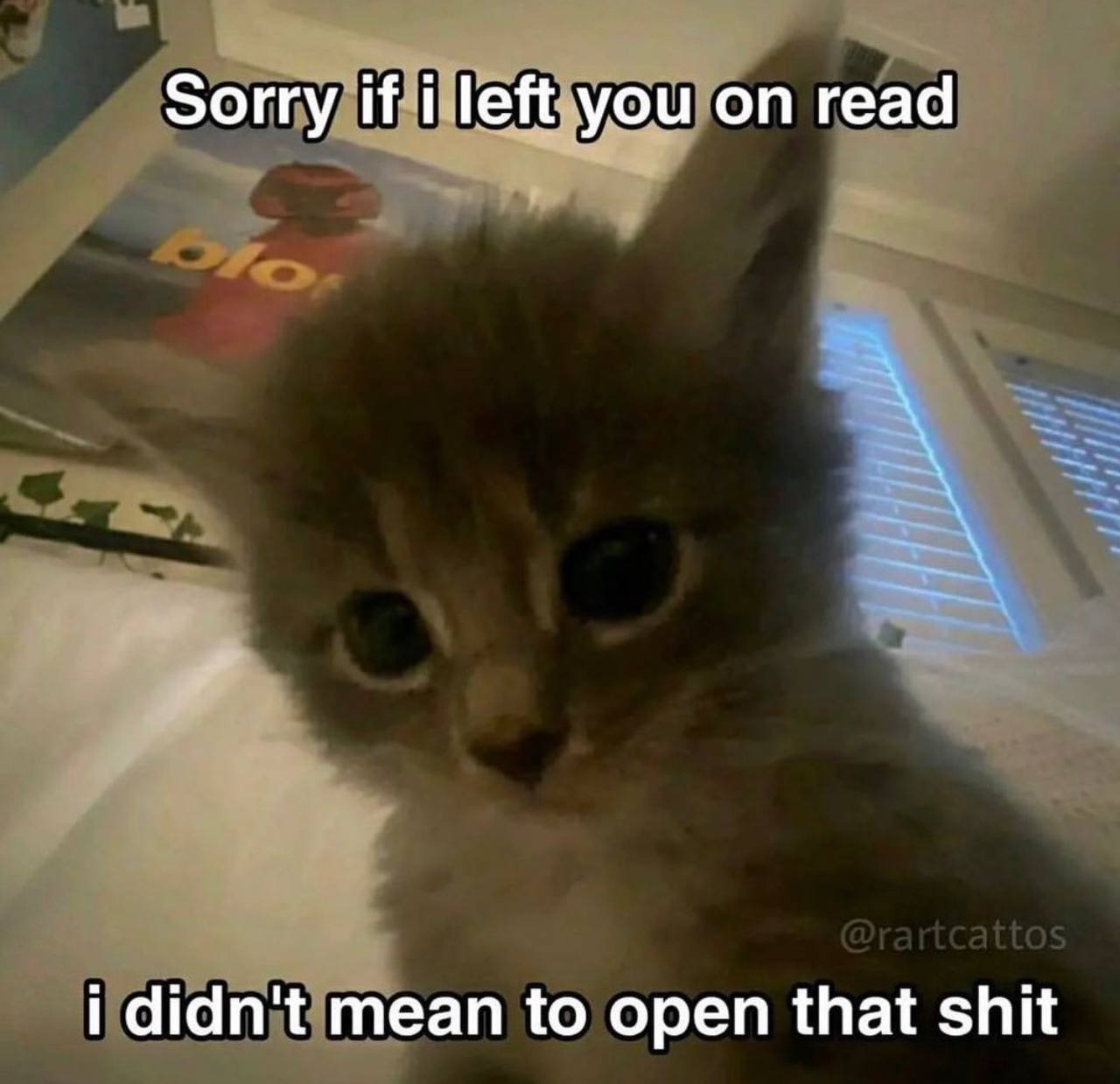 Sorry if i left you on read i didn't mean to open that shit