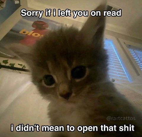 Sorry if i left you on read i didn't mean to open that shit