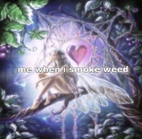 о 7 weed А
