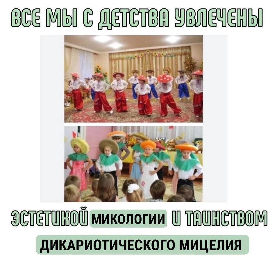 Mol микологии ДИКАРИОТИЧЕСКОГО МИЦЕЛИЯ