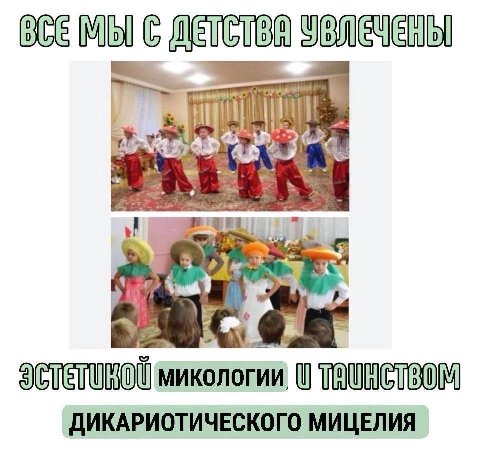 Mol микологии ДИКАРИОТИЧЕСКОГО МИЦЕЛИЯ