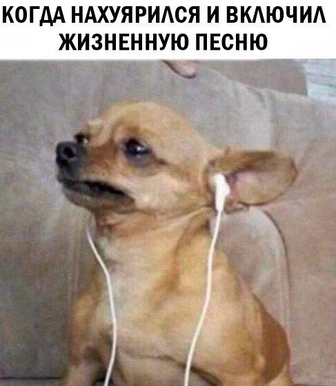 сууукааааа
