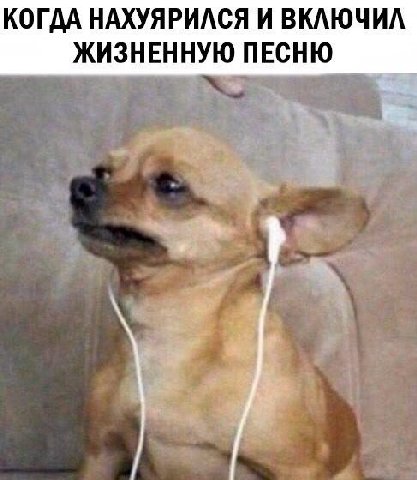 сууукааааа