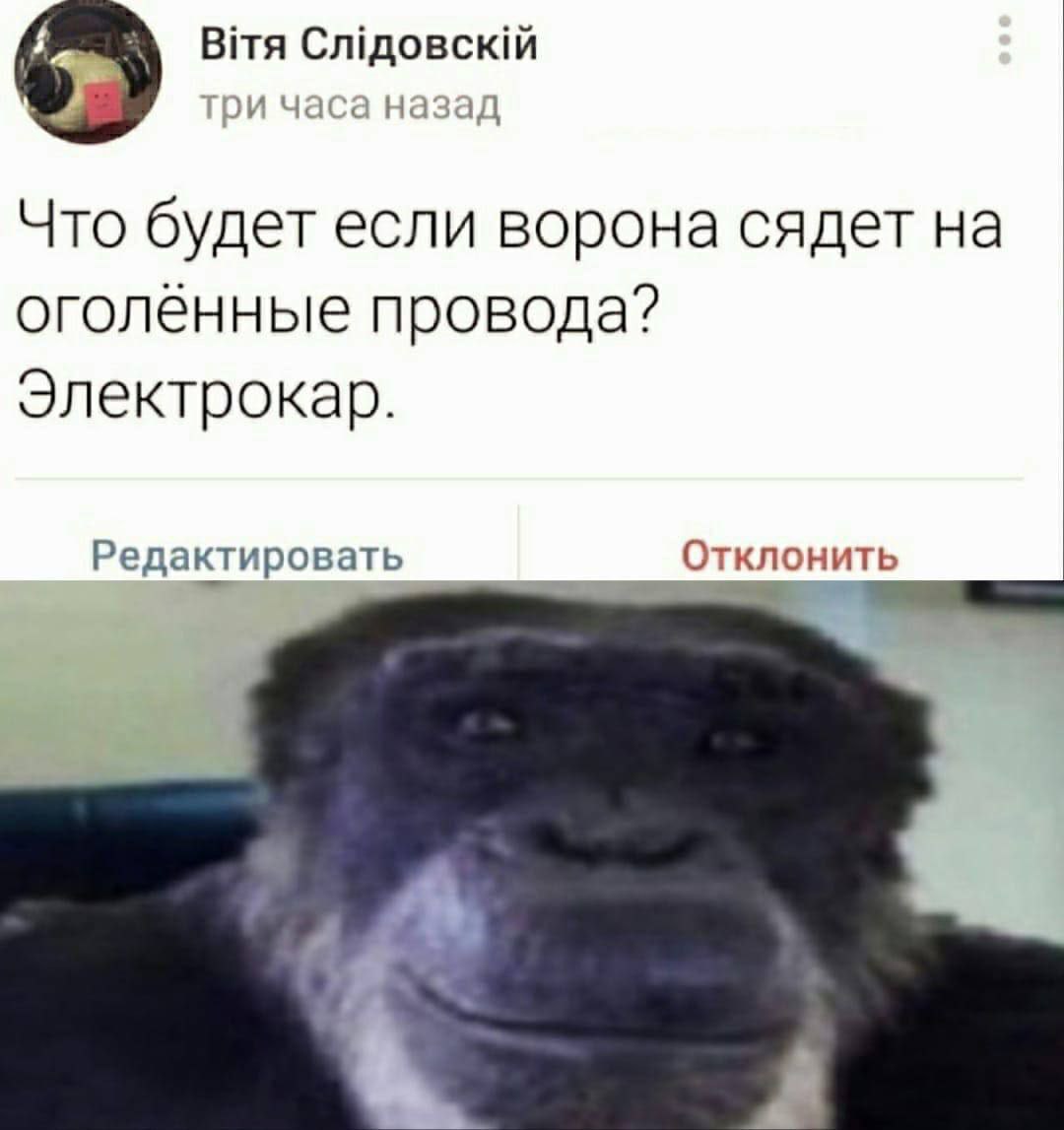 Bita часа назад Что будет если ворона сядет на оголённые провода? Электрокар. Редактировать Отклонить