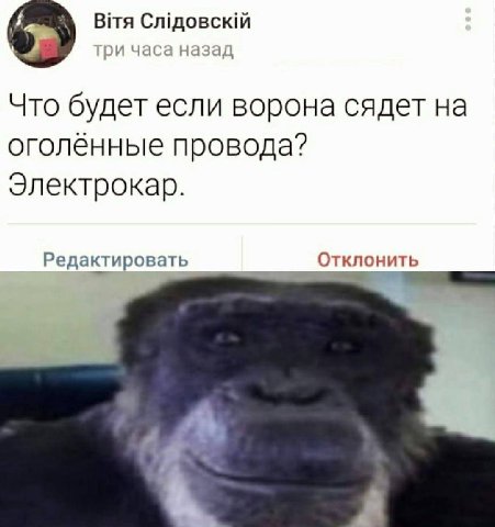 Bita часа назад Что будет если ворона сядет на оголённые провода? Электрокар. Редактировать Отклонить