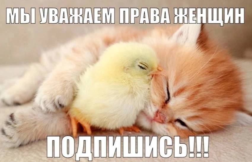 ЖЕНЩИН За ИСЬ
