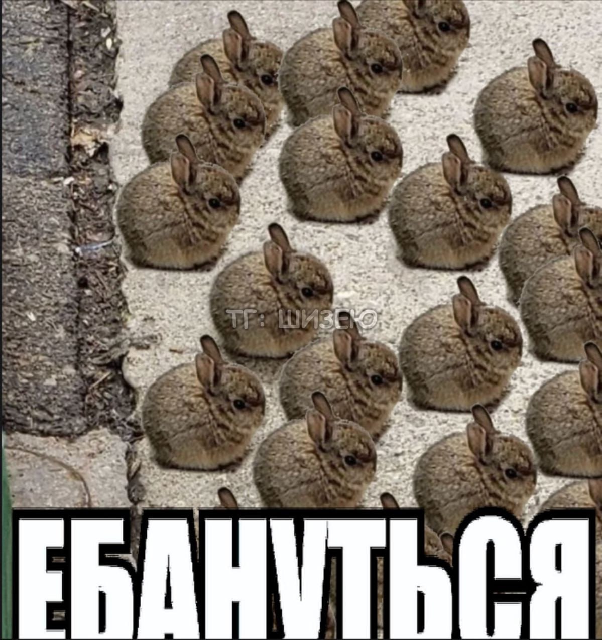 Я 2. 27. oN у