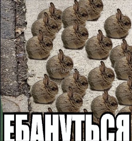 Я 2. 27. oN у