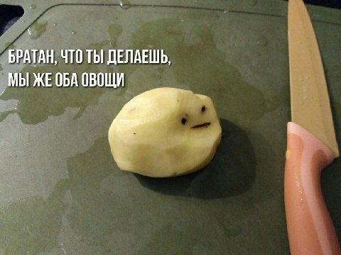 БРАТАН, ЧТО ТЫ ДЕЛАЕШЬ, ОВОЩИ