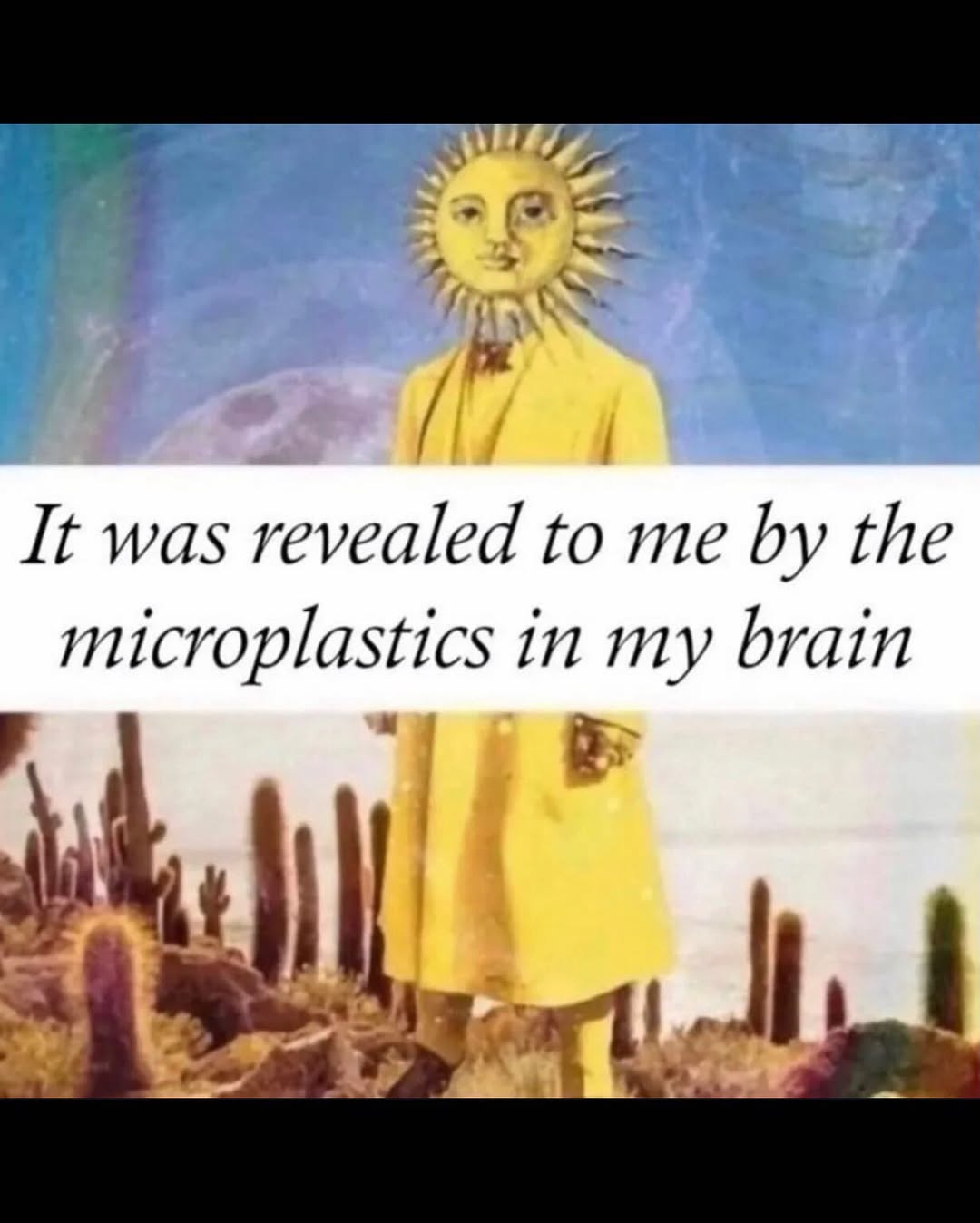 It was revealed to me the microplastics in my brain