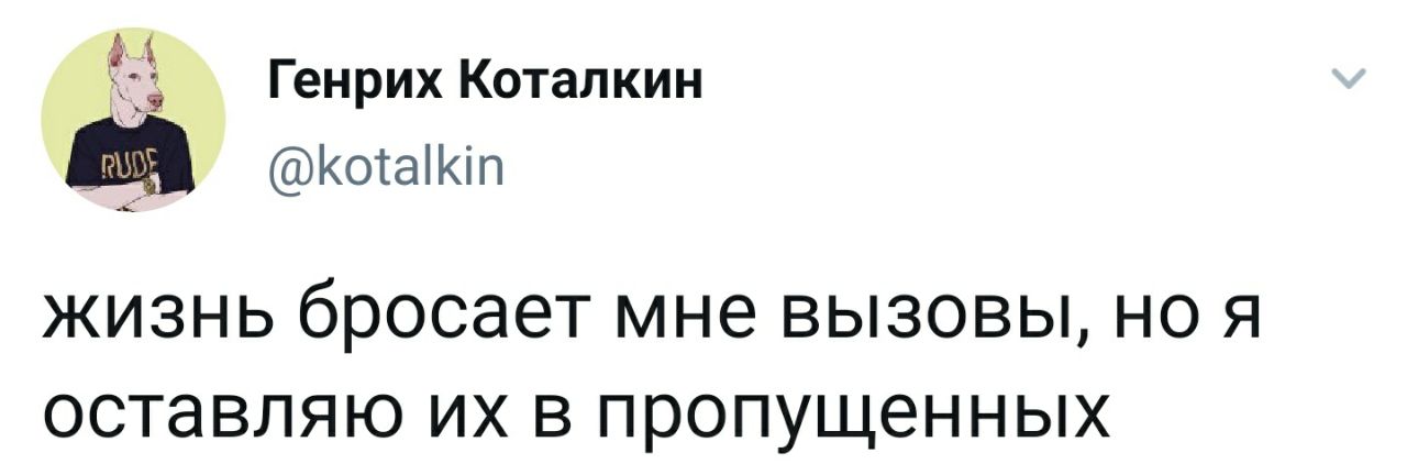 Генрих Коталкин @kotalkin ЖИЗНЬ бросает мне вызовы, но я оставляю в пропущенных