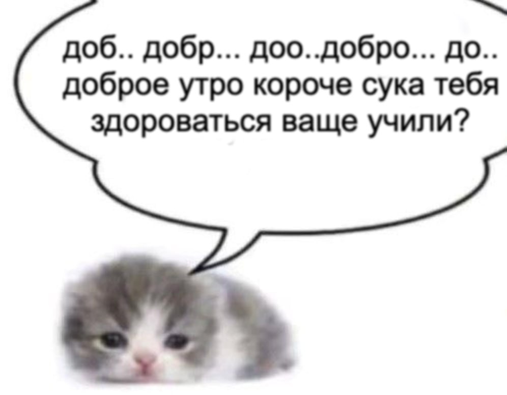 доб.. добр... доо..добро... до.. доброе утро короче сука тебя здороваться ваще учили?