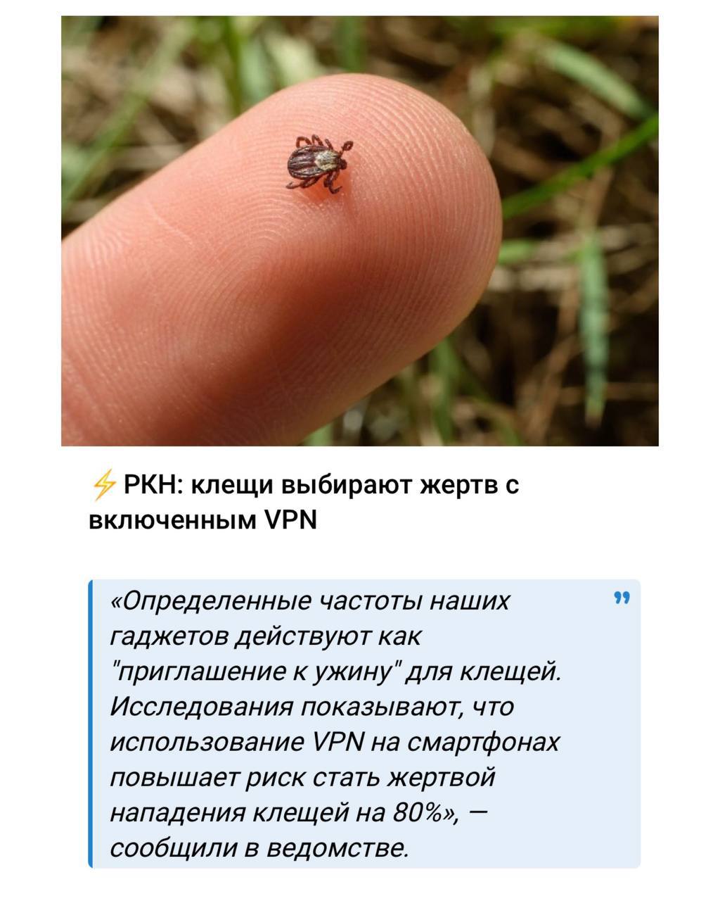РКН: клещи выбирают жертв с включенным VPN «Определенные частоты наших гаджетов действуют как ‘приглашение к ужину" для клещей. Исследования показывают, что использование УРМ на смартфонах повышает ри