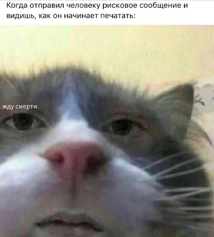 Когда отправил человеку рисковое сообщение и видишь, как он начинает печатать: жду смерти