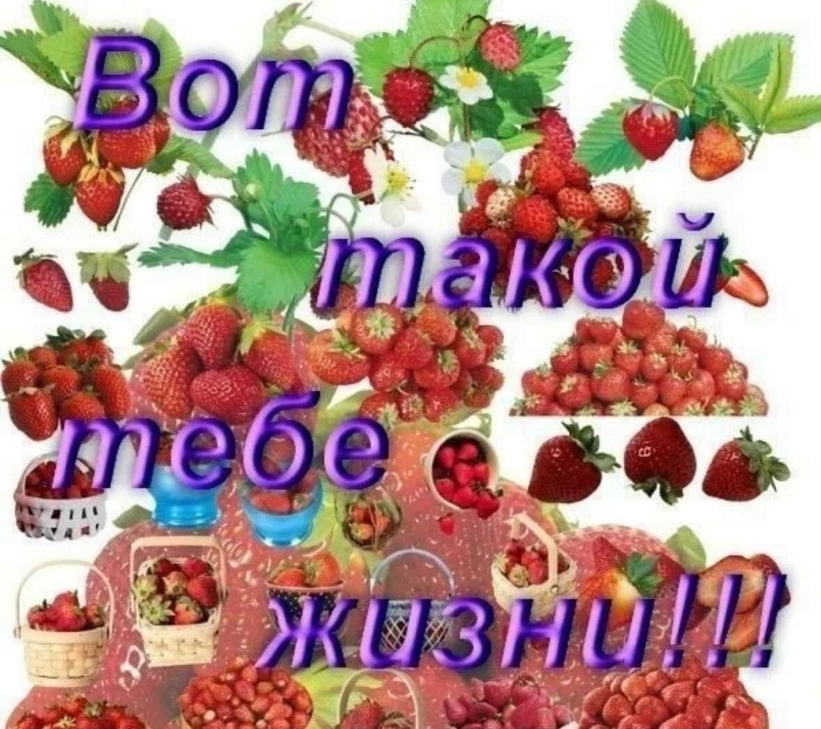 7 Wet 6 we К ВУЛ: [733