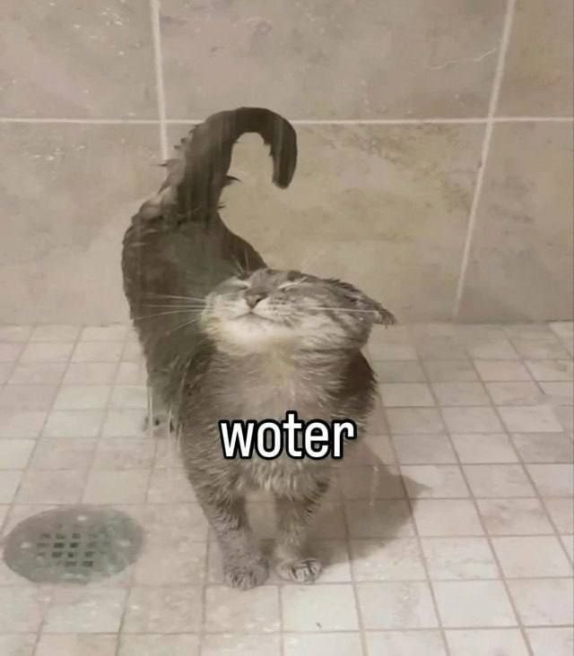 woter