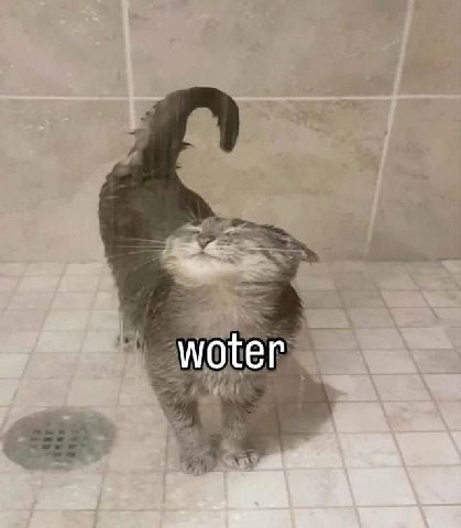 woter