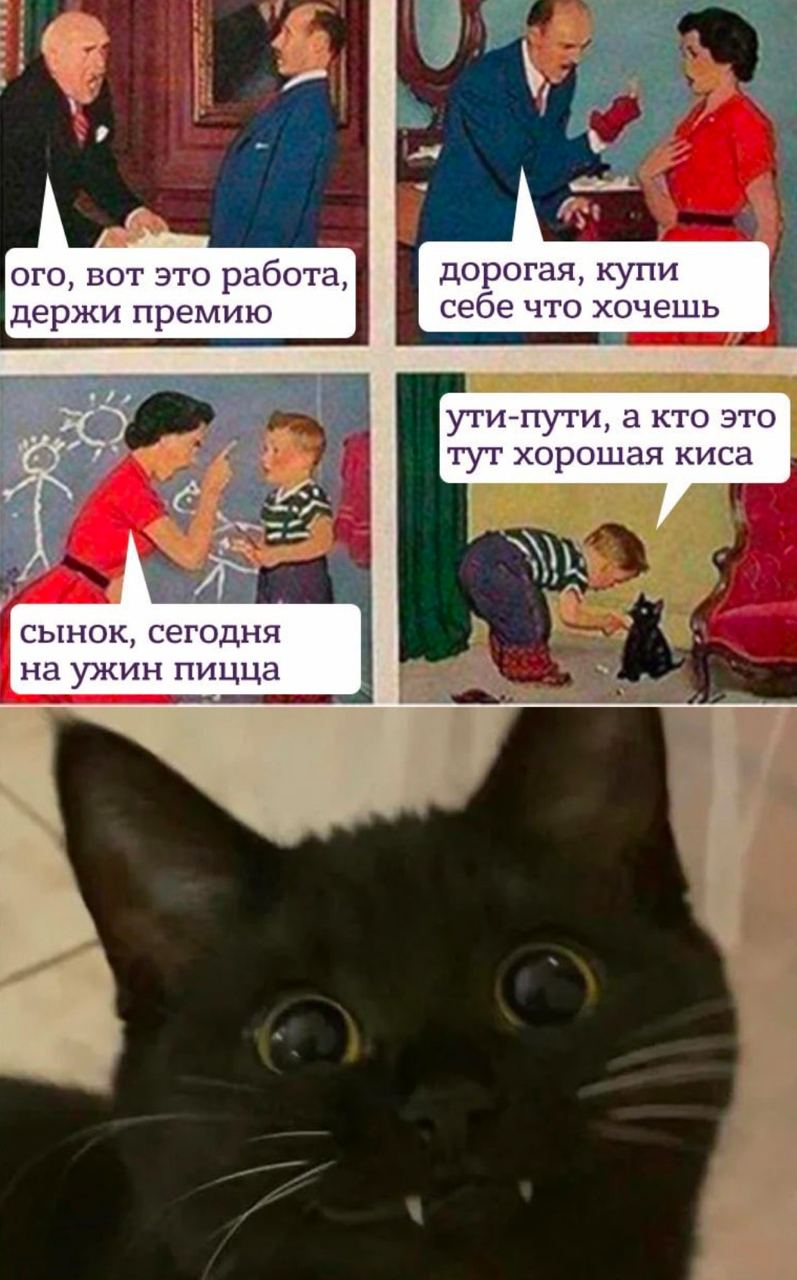 9 ого, вот это работа, дорогая, купи держи премию себе что хочешь ути-пути, а кто это тут хорошая киса сынок, сегодня на ужин пицца