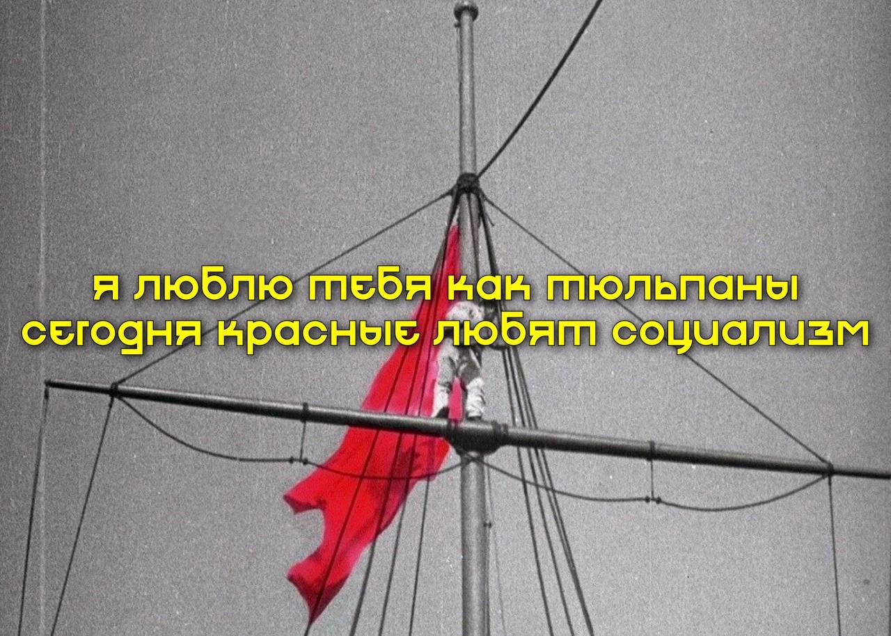 я люблю тебя ван пюльпаны сегоаня нрасные любят социализм