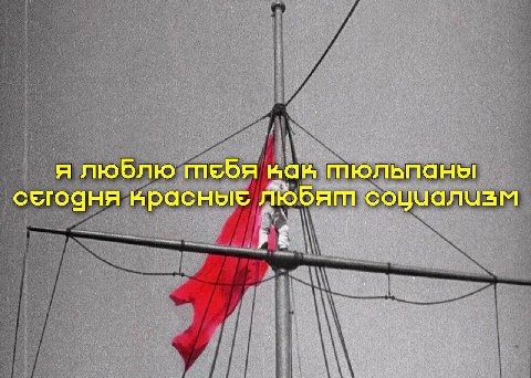 я люблю тебя ван пюльпаны сегоаня нрасные любят социализм