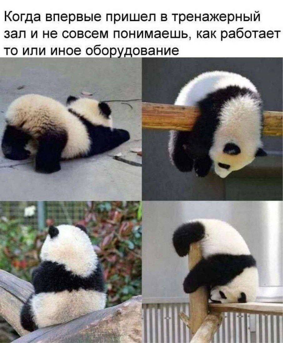Когда впервые пришел в тренажерный зал и не совсем понимаешь, как работает то или иное оборудование 4