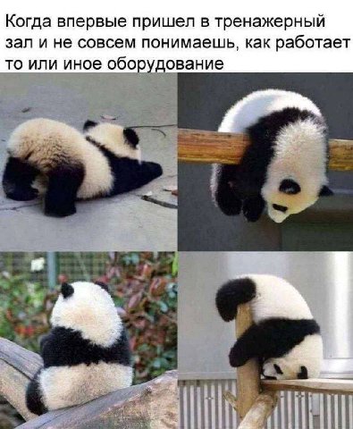 Когда впервые пришел в тренажерный зал и не совсем понимаешь, как работает то или иное оборудование 4