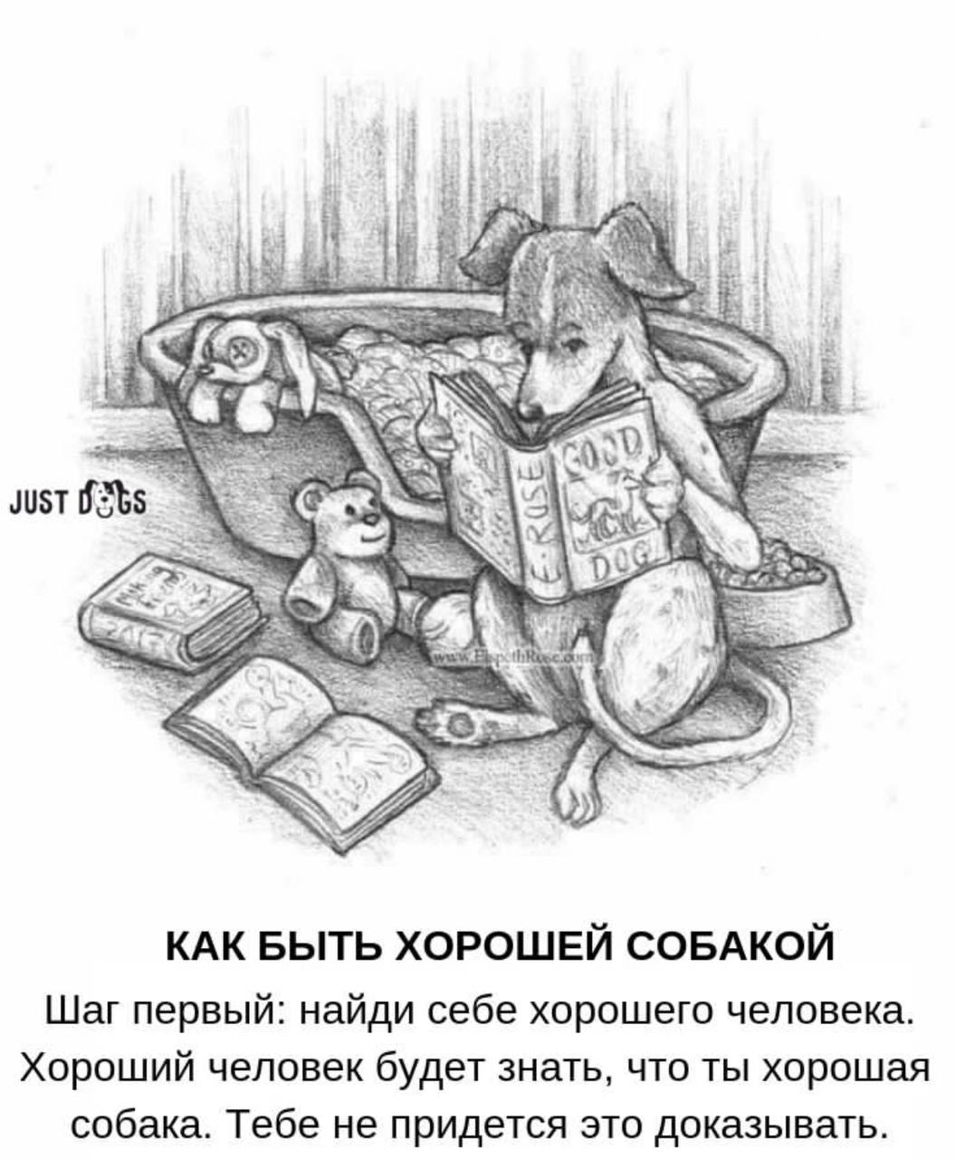 JUST we КАК БЫТЬ ХОРОШЕЙ СОБАКОЙ Шаг первый: найди себе хорошего человека. Хороший человек будет знать, что ты хорошая собака. Тебе не придется это доказывать.