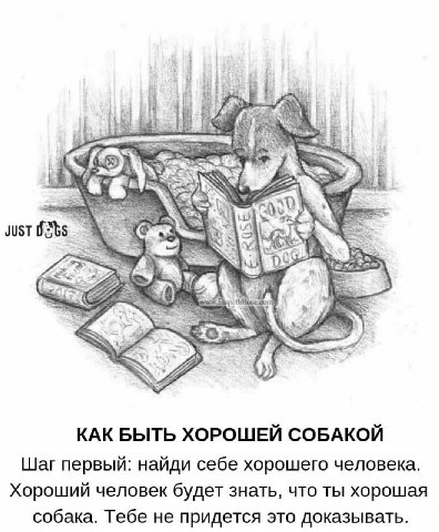 JUST we КАК БЫТЬ ХОРОШЕЙ СОБАКОЙ Шаг первый: найди себе хорошего человека. Хороший человек будет знать, что ты хорошая собака. Тебе не придется это доказывать.