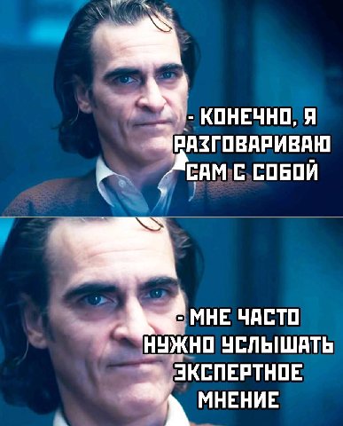 КОНЕЧНО, Я ВАЗГОВАРИВАЮ САМ:С.СОБОИ МНЕ ЧАСТО УЖНО УСЛЫШАТЬ ЭКСПЕРТНОЕ МНЕНИЕ