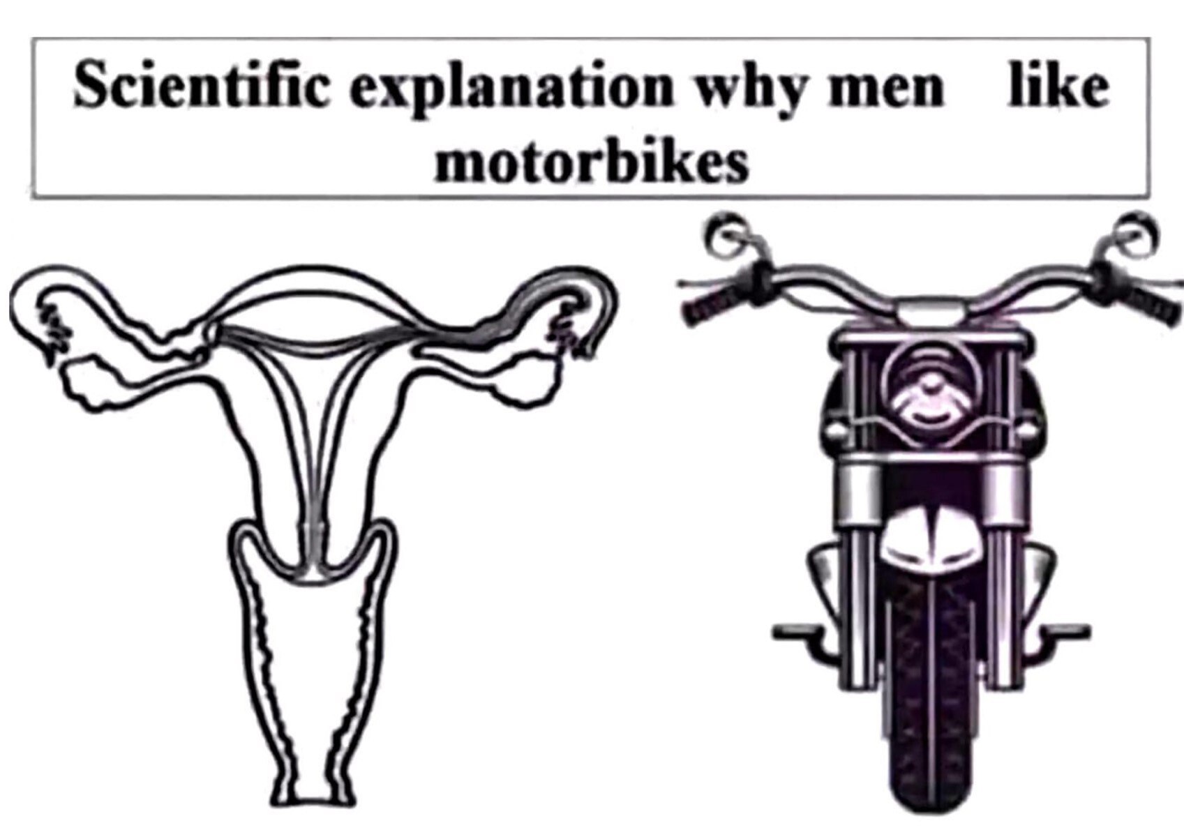 Scientific explanation why шеп like motorbikes