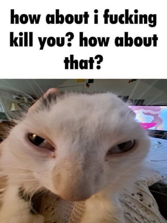how about i fucking kill you? how about that?