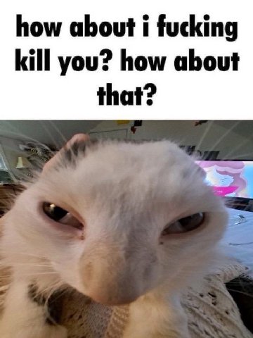how about i fucking kill you? how about that?