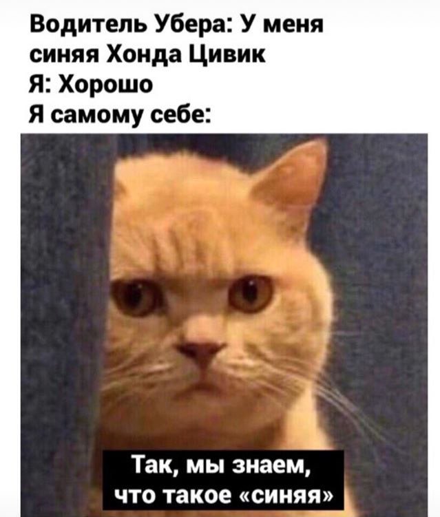 Водитель Убера: У меня синяя Хонда Цивик Я: Хорошо Я самому себе: Так, мы знаем, что такое «синяя»