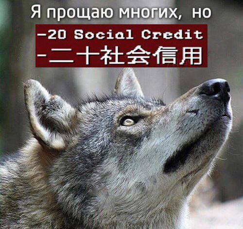 Я прощаю многих, но —20 Social Credit