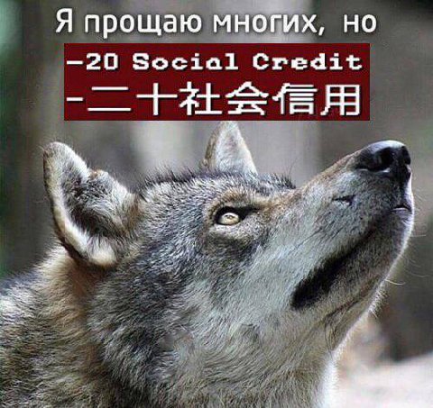 Я прощаю многих, но —20 Social Credit