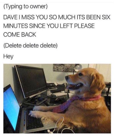 (Typing to owner) DAVE MISS YOU SO MUCH ITS BEEN SIX MINUTES SINCE YOU LEFT PLEASE COME BACK (Delete delete delete) Hey