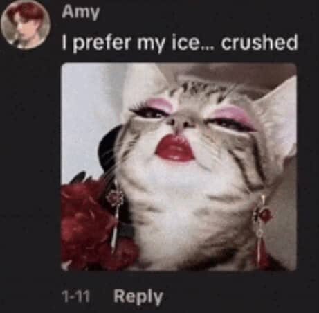 Ату prefer my ice... crushed 1-11 Reply