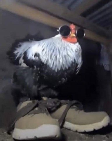 admin pic

👤 Пельмешек