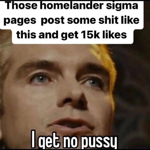 ose потеапаег sigma pages post some shit like this and get likes