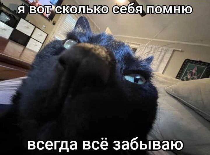я вог’сколько себя помню всегда всё забываю