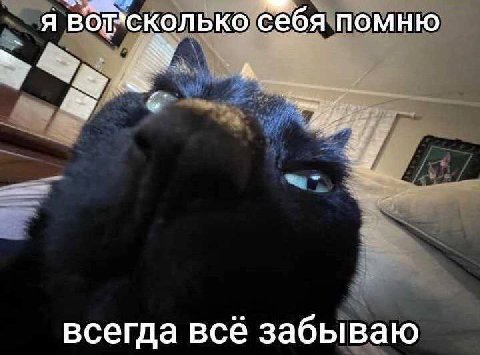 я вог’сколько себя помню всегда всё забываю