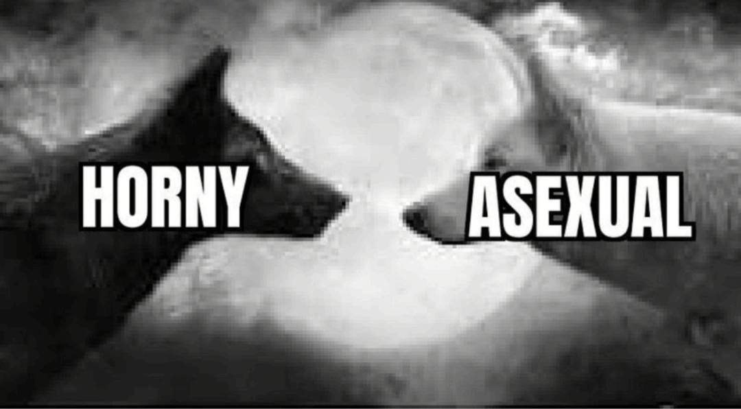 HORNY ASEXUAL
