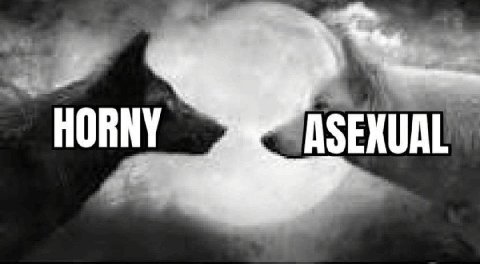 HORNY ASEXUAL