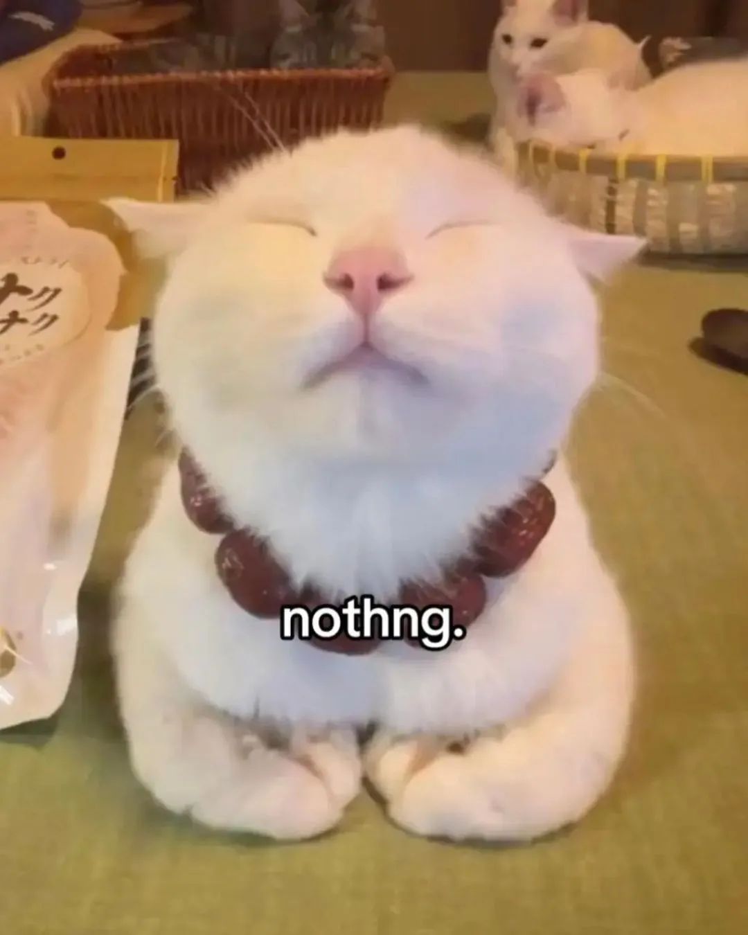nothng.