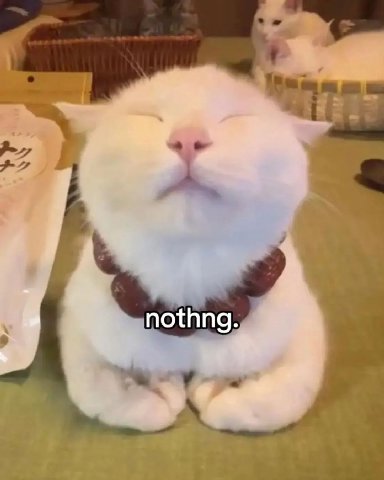 nothng.