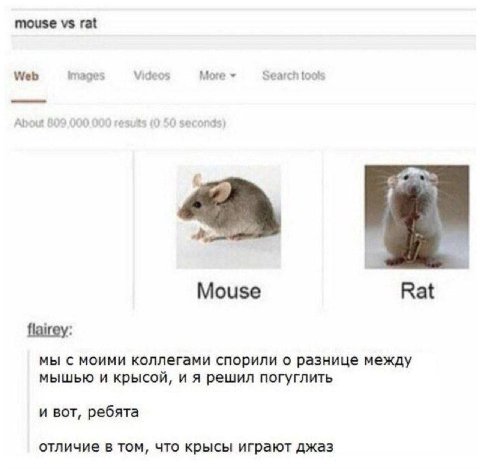 mouse rat Web images Videos More Search tools Mouse Rat flairey: мы с моими коллегами спорили о разнице между мышью и крысой, и я решил погуглить и вот, ребята отличие в том, что крысы играют джаз