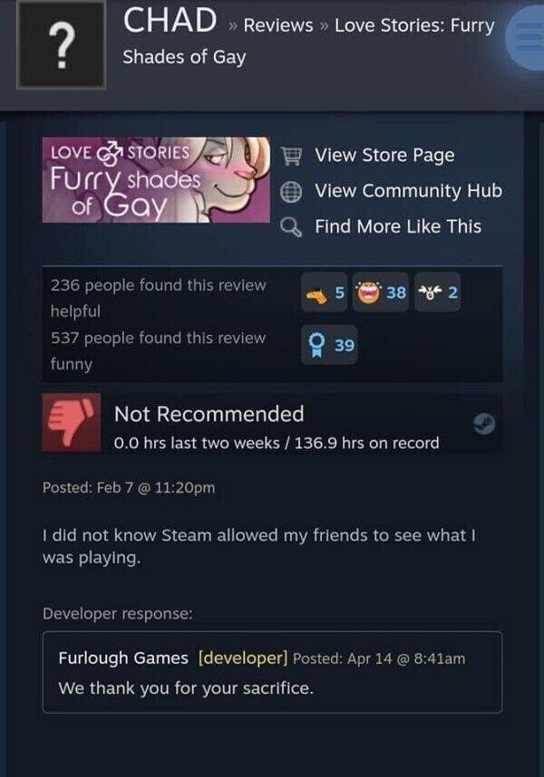 CHAD reviews Love Stories: Furry Shades of Gay LOVE STOR Furr View Store Page View Community Hub С Find More Like This 236 people found this review 5 helpful 537 people found this review О 39 funny No