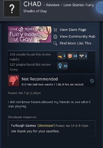 CHAD reviews Love Stories: Furry Shades of Gay LOVE STOR Furr View Store Page View Community Hub С Find More Like This 236 people found this review 5 helpful 537 people found this review О 39 funny No